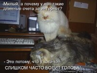 счета за интернет.jpg