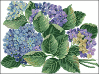 14259_Hydrangea.gif