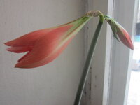 Изображение 32776.jpg