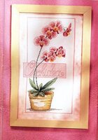 Орхидея 2.jpg