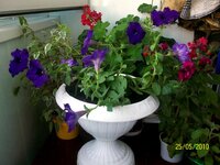 Последнее 009.jpg