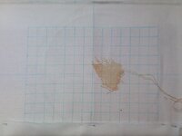 Начало 29.12.09.jpg