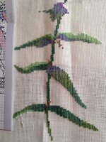 2015-04-09 16-55-35.jpg