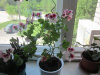 Изображение 1130.jpg