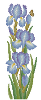 Ирисы.png