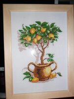 лимонное дерево..jpg