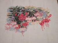 Изображение 1971.jpg