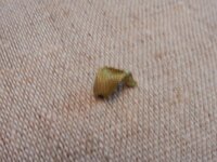 2014-05-24 13-15-22.jpg