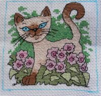 для Ани Изма .jpg