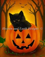 halloween kitten.jpg