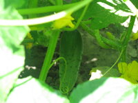 Изображение 047.jpg