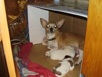 Изображение 640.jpg