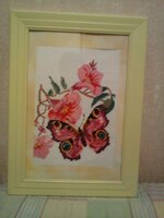 конкурс бабочки 2011.jpg