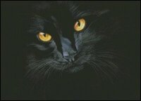 Чёрная магия.jpg