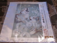 Изображение 32540.jpg