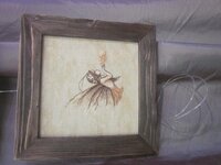 Изображение 1897.jpg