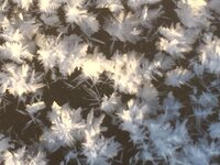 Фото 06.01.17, 13 54 39.jpg