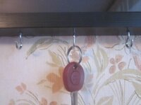 Изображение 781.jpg