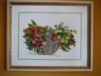 Tiny Apples (02).jpeg