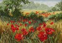 Ru-sana Маковое поле от Anchor.jpg