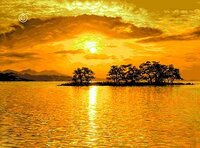 Gоblеnset 509 Apus auriu.jpg