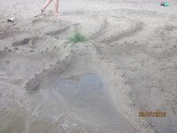 Изображение 264.jpg