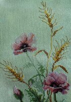 IMG_8390 (725x1024).jpg