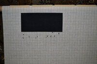 эльга розы.jpg