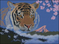 Year of The Tiger.jpg