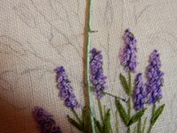 2014-05-23 22-27-52.jpg