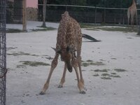 Изображение 016.jpg