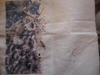 Снежный 4.jpg