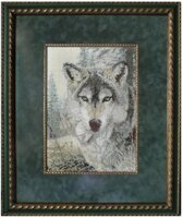 Волк в раме.jpg