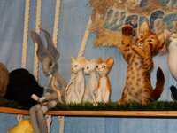 2015-10-22 14-34-10.jpg