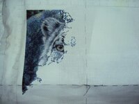 день девятый 1.jpg