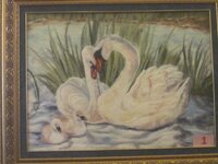 Изображение 161.jpg