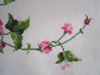 01_шиповник 06.jpg