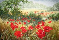 Фото2009 01422-j.jpg