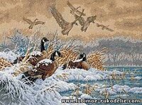 Зимний перелет.jpg