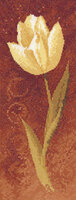 CNTP600 Tulip.jpg