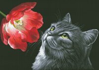 Кот с тюльпаном.jpg