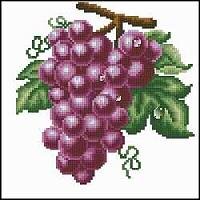 DOME-Vinograd krasn.jpg