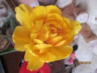 Изображение 2601.jpg