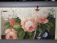 Файл 11112017 ирис.jpg