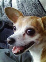 IMAG4325 [Разрешение рабочего стола].JPG