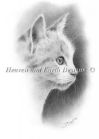 HAEZIN 2322 little kitten.jpg