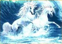Ocean Unicorns.jpg