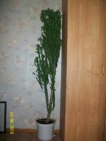 Последнее 021.jpg