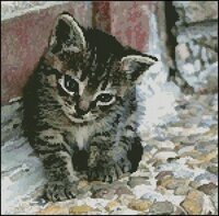 Artesy котенок.jpg