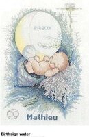 Lanarte23006Birthsign Water.JPG